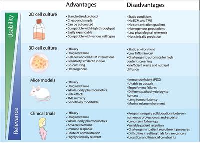 Advancements in 3D Cell Culture Systems for Personalizing Anti-Cancer Therapies